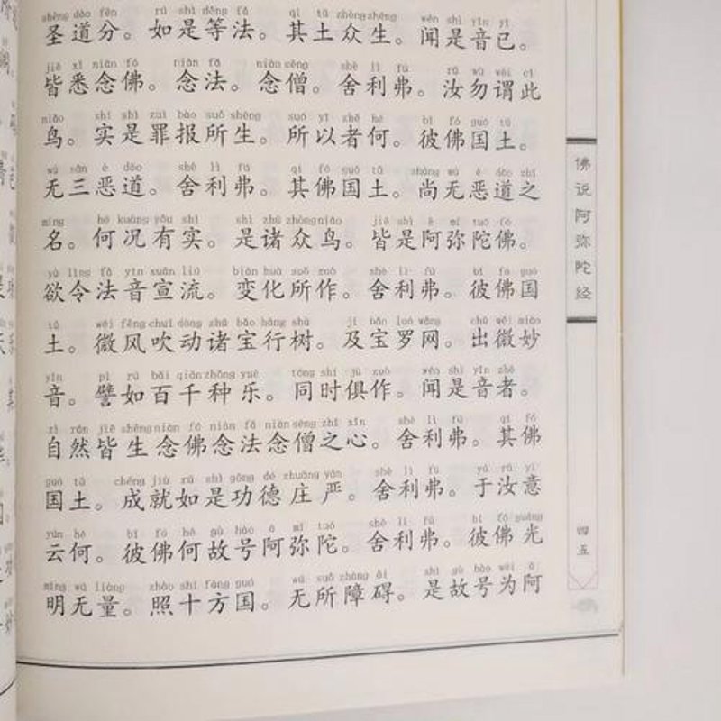 观世音菩萨普门品读诵:心灵之旅的指引